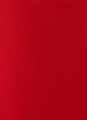 Ame Underwire Mini Dress - Red